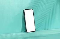 A modern smartphone with a blank white screen stands vertically against a mint green wall, featuring a tropical palm leaf shadow overlay [IBR125462066]