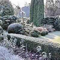 Garden hedges and intricately shaped topiary plants covered with glistening hoarfrost, creating a beautiful cold winter landscape [IBR125462079]