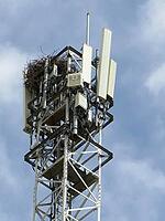 Birds building a substantial nest on a modern cell tower against a blue sky [IBR125462119]