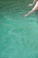 Feet and legs spashing in a swimming pool with copy space [IBR125462120]