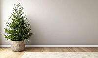 Living room with light grey walls, simple green Christmas tree in a basket, AI generated [IBR125472247]