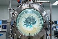 Precision fermentation inside stainless steel bioreactor tank, swirling emulsion creates vortex during cellular agriculture, automated biochemical synthesis of dairy proteins in sterile laboratory environment, industrial liquid processing through inspecti [IBR125472261]