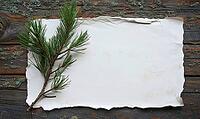 A bare pine branch lying on a sheet of white paper, placed on a rustic wooden table, AI generated [IBR125472338]