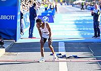 27 September 2026, Athletics: BMW Berlin Marathon 2026, from left: Gemechu Dida Diriba (ETH) finishes second, exhausted, at the 2026 BMW BERLIN MARATHON [IBR113453166]