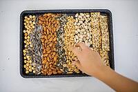Female hand picking peanuts from black tray made of chickpeas, almonds, pistachios and multiple sawn crisp bread. Fresh crispy bread, seeds and nuts from above. Healthy snacks [IBR125492340]