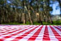 Red checkered picnic tablecloth in forest under bright sunlight [IBR125492362]