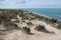 Punta norte beach landcape, Halbinsel valdes, viedma department, chubut province, Argentinien [IBR125492398]