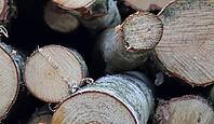 Detailed close up view on different wood surfaces showing planks logs and wooden walls in high resolution [IBR125501557]