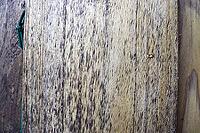 Detailed close up view on different wood surfaces showing planks logs and wooden walls in high resolution [IBR125501561]