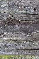 Wooden plank surface background in high resolution [IBR125501564]