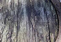 Detailed close up view on different wood surfaces showing planks logs and wooden walls in high resolution [IBR125501572]