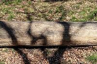 Detailed close up view on different wood surfaces showing planks logs and wooden surfaces in high resolution [IBR125501579]
