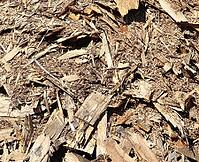 Detailed close up view on different wood surfaces showing planks logs and wooden walls in high resolution [IBR125501583]