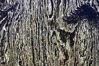 Detailed close up view on different wood surfaces showing planks logs and wooden walls in high resolution [IBR125501590]