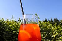 Refreshing orange summer cocktails with ice against a blue sky background [IBR125501594]