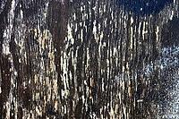 Detailed close up view on different wood surfaces showing planks logs and wooden walls in high resolution [IBR125501617]