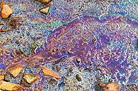 Colorful fuel and oil on an asphalt texture showing heavy enviromental pollution [IBR125501630]