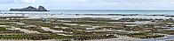 Oyster beds at low tide in Cancal, Brittany, France [IBR125501646]