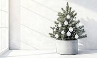 Small Christmas tree with only white and silver ornaments, sitting in a grey concrete planter on a white wooden floor, AI generated [IBR125502142]