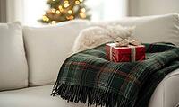 Cozy winter scene with a dark green plaid blanket folded on a white sofa, a small red gift box nearby, soft ambient light enhancing textures, AI generated [IBR125502147]