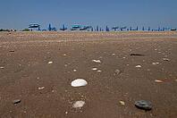 Sandy beach beach on the Adriatic Sea, Punta Marina, Ravenna, Emilia-Romagna, Italy [IBR125521111]