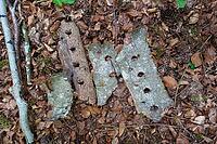 Land Art, nature art, arrangement of tree bark, nature conservation, in the forest, Upper Danube nature park Park, Sigmaringen district, Baden-Württemberg, Germany [IBR125521137]