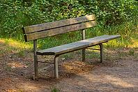 Wooden bench stands in a forest [IBR125521156]