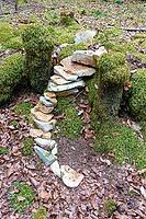 Land Art, nature art, forest floor, arrangement of natural stones, moss, nature conservation, in the forest, Upper Danube nature park Park, Sigmaringen district, Baden-Württemberg, Germany [IBR125521158]