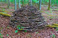 Land Art, nature art, nature conservation, artefact, branches, in the forest, Upper Danube nature park Park, Sigmaringen district, Baden-Württemberg, Germany [IBR125521165]