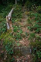 Pedestrian steps on a forest slope in the Ampertal near Fürstenfeldbrück, tramp path, walk, Bavaria, Germany [IBR125527075]