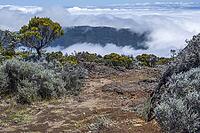 Every day at around noon, clouds conquer the flanks of the active volcano Piton de la Fournacie on the island of La Réunion [IBR125527106]