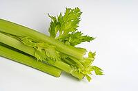 Green celery macro photography on white background isolated [IBR125536429]