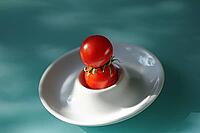 Two shiny red tomatoes grow on top of each other in a white bowl on a turquoise surface, Horn Bad Meinberg [IBR125536443]