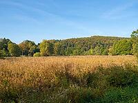 Lautertal landscape reserve in the Swabian Alb region, Germany. Beautiful valley with marsh area and a few vegetated slopes [IBR125536451]