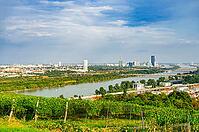 Vineyard rows on a hill in Vienna Austria Nusserg area, View on Vienna City [IBR125557542]