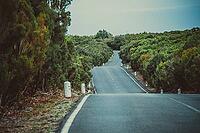 Winding empty road through lush green landscape on Madeira during road trip [IBR125557547]