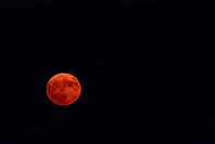 Orange-Tinted Full Moon in the Emptiness of a Black Sky.Full moon bathed in a soft orange tint, glowing against the deep black void of the night sky. The moon's surface is marked with detailed craters [IBR125557564]