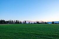 A simple green meadow reaches to a row of dark trees behind which mountains rise in the evening light, Sempach, Canton Lucerne, Switzerland [IBR125557614]