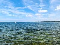 A small white sailing ship on the horizon on the blue waters of the Baltic Sea [IBR125566008]