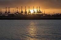 Cargo cranes at the big famous port of the German city of Hamburg in the evening sunset [IBR125566023]
