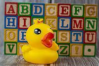 Rubber duck baby toy and alphabetic wooden block [IBR125566025]