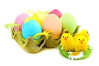 Easter eggs and chicks in nest on a white background [IBR125566058]