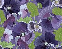 Vector floral seamless pattern. Lilac popies, green leaves and buds on a purple background. Flower design for decorating surfaces, wallpaper, cards and more [IBR125566060]