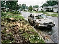 Beige car sustaining heavy damage on its roof and windshield from a fallen tree, sitting on a suburban street curb with debris and a freshly cut tree stump on the lawn, AI generated [IBR125592672]