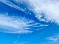 Stunning cirrus cloud formation panorama in a deep blue summer sky seen over Europe [IBR125606063]