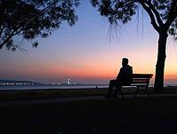 Person gazing at horizon during a tranquil dusk in a peaceful park setting, AI generated [IBR125636870]