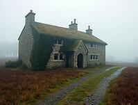 Stone cottage with ivy creeping up its walls and grass growing on its roof, standing in the middle of a foggy moor, AI generated [IBR125636875]