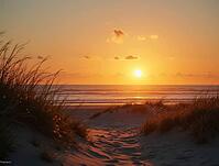 Low-hanging sun casting warm golden glow over tranquil ocean waves viewed from grassy sand dunes, AI generated [IBR125636895]