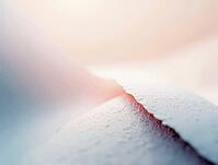 Soft pastel gradients and subtle textures create a calming minimalist abstract composition, perfect for backgrounds and design projects, AI generated [IBR125636896]