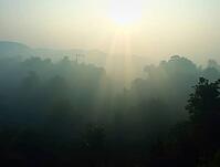 Beams of sunlight breaking through morning mist over a dense forest, creating a magical atmosphere, AI generated [IBR125636956]